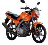 2012 Tiger Boxer 200R photo